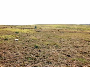434 m² Land available in Hartenbos