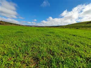 380 ha Farm in Alexandria