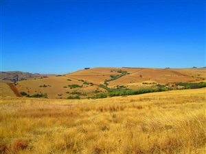 1165 m² Land available in Dullstroom