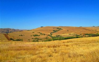 1165 m² Land available in Dullstroom