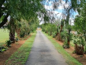 1 ha Land available in Rispark