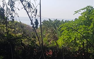 917 m² Land available in Melville