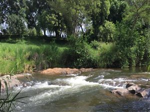 38 ha Farm in Hazyview