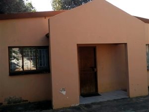 3 Bed Apartment in Oos-Einde