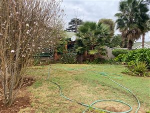 3 Bed House in Roseville