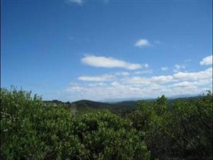 4079 m² Land available in Pezula Private Estate