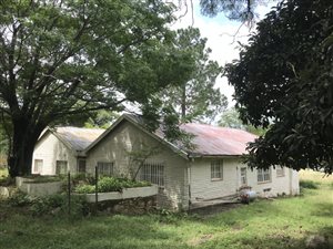 8.8 ha Smallholding in Sun Valley