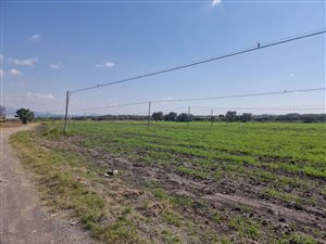 9.8 ha Smallholding in Hartbeesfontein