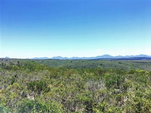 300 m² Land available in Gondwana Game Reserve
