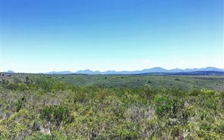 300 m² Land available in Gondwana Game Reserve