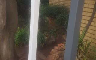 3 Bedroom Apartment in Bellevue