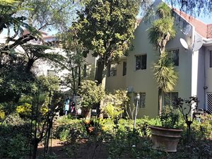 1 Bed Apartment in Norwood