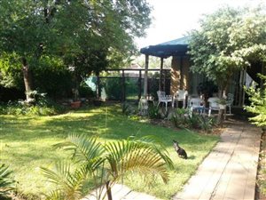 1 Bedroom Apartment in Waverley
