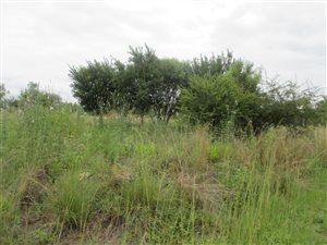 1 ha Land available in Leeuwfontein