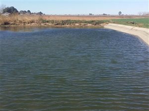 25 ha Farm in Hartswater