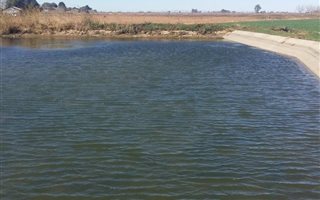 25 ha Farm in Hartswater