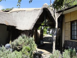 56 ha Farm in Koster