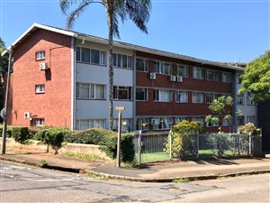 1.5 Bed Apartment in Greyville