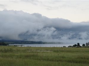 34 ha Farm in Howick