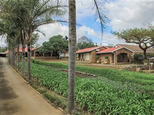 10 Bed House in Cleland