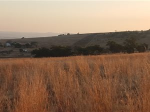 2 ha Farmland in Laezonia