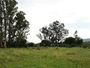 3600 m² Land available in Utrecht