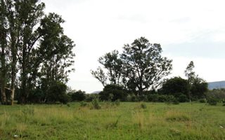 3600 m² Land available in Utrecht
