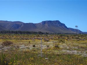 7.9 ha Farm in Franskraal