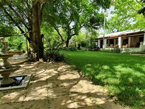 7.7 ha Farm in Wellington Central