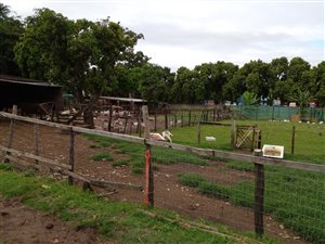 2.8 ha Farm in Illovo Beach