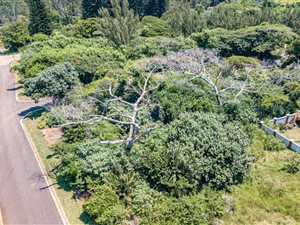 1101 m² Land available in Kelso