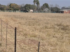 2.2 ha Land available in Homelands