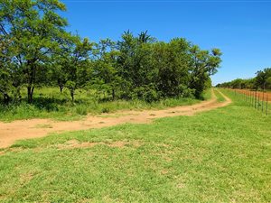 46.7 ha Land available in Kameelfontein and surrounds