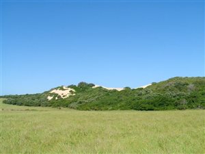 837 m² Land available in Kenton-on-Sea