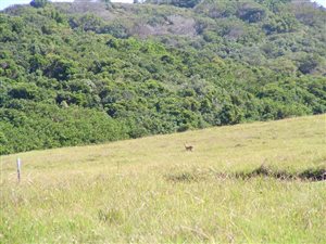 837 m² Land available in Kenton-on-Sea