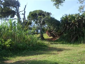 2266 m² Land available in Tinley Manor Beach