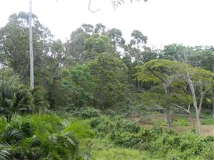 1453 m² Land available in Ramsgate