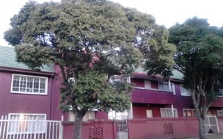 2 Bedroom Flat in Forest Hill