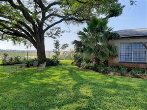 20 ha Farm in Marblehall