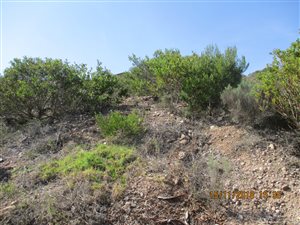 856 m² Land available in Island View