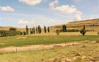 443 ha Farm in Aliwal North