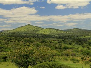 360 ha Farm in Hluhluwe