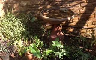 2 Bedroom Garden Cottage in Wapadrand