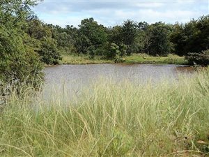 2797 ha Farm in Middelburg Central