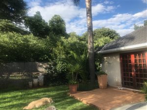 3 Bed House in Bedfordview