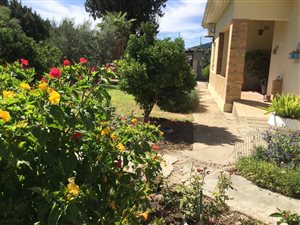 4 Bedroom House in Aberdeen
