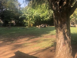 2 Bed Garden Cottage in Hillcrest Central