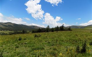 30 ha Land available in Cedarville