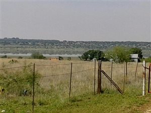 29 ha Smallholding in Hertzogville