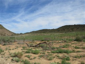 477 ha Farm in Ladismith